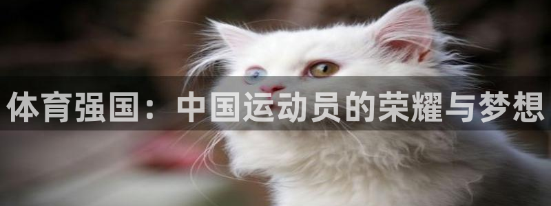 意昂3主管