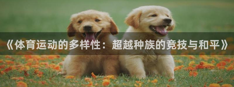 意昂3体育平台注册