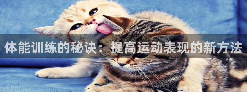 意昂3登录