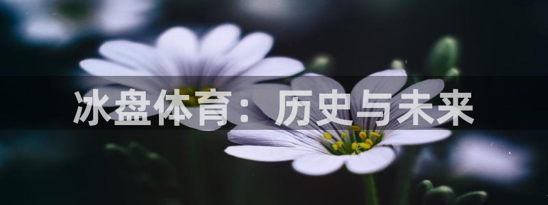 意昂3平台开号链接