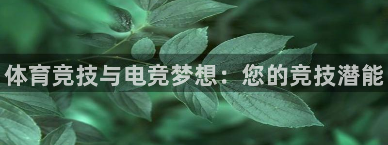 意昂3平台主管