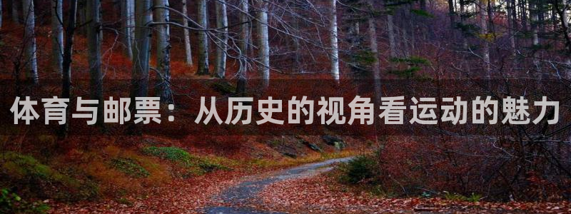 意昂3体育热门赛事有哪些