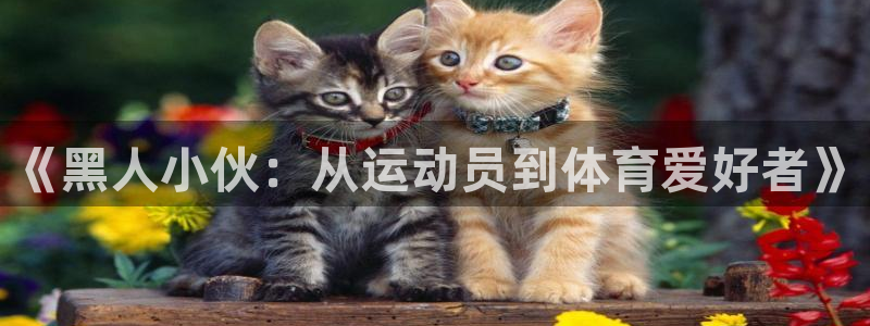 意昂3体育在线注册