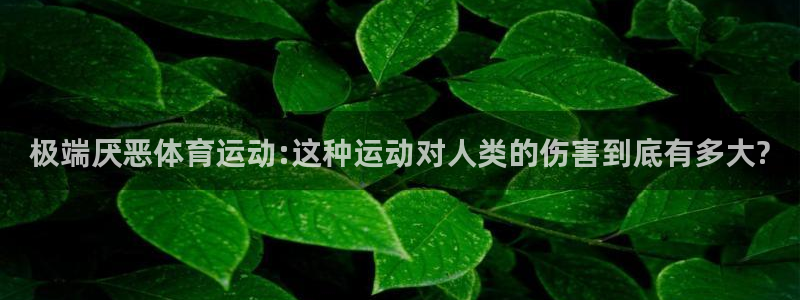 意昂3体育f开号