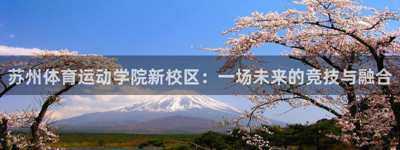 东莞市意昂3电子科技有限公司