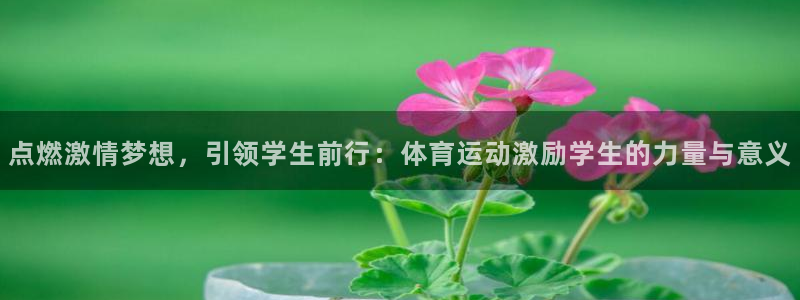 意昂3注册