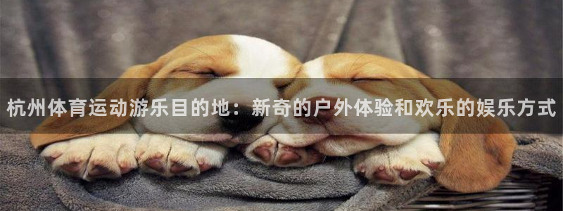 上海意昂3汽车电子有限公司