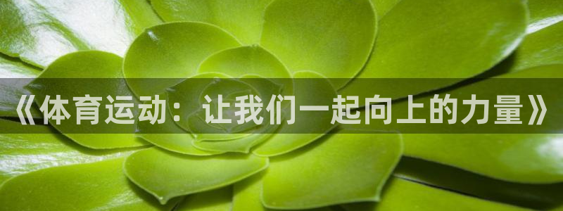 意昂3体育平台注册