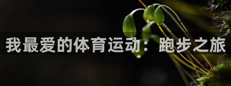 意昂33平台注册