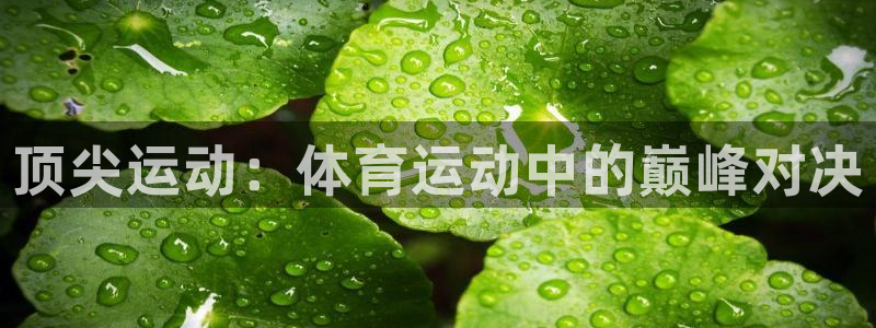 意昂3体育官网入口登录